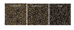 Caviar Sturia